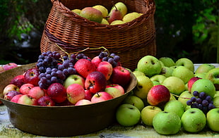 green and red apples and blue berries HD wallpaper