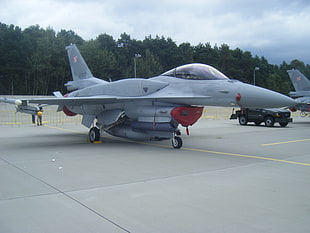 gray jet fighter plane, Poland, General Dynamics F-16 Fighting Falcon, Fighting Falcons, jet fighter