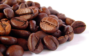coffee bean wallpaper