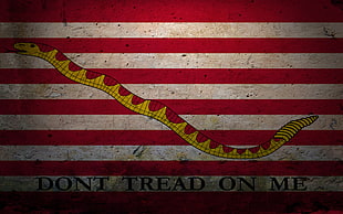 yellow and red snake illustration, libertarianism, flag, United States Navy, naval jack
