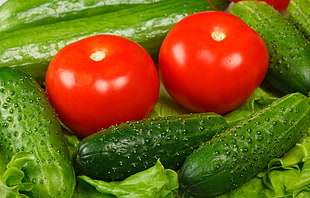 green pickles and two tomatoes photo