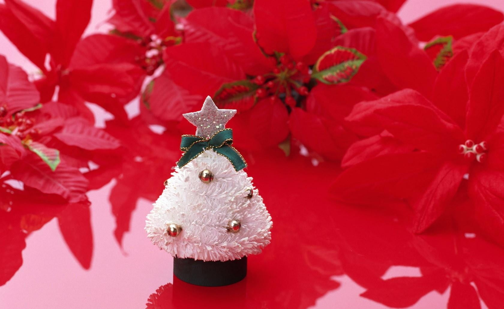 white Christmas Tree miniature with glittered star topper