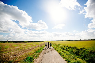 landscape photography of green field and dirt road with three people walking under clear sky during daytime HD wallpaper