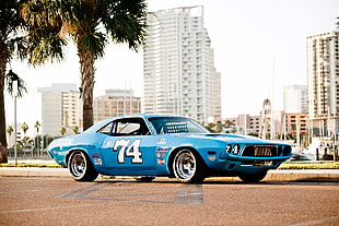 blue muscle car, 1973 dodge challenger, Nascar, muscle cars, American cars HD wallpaper