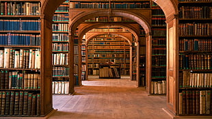 assorted-title book lot, library, interior, interior design, books