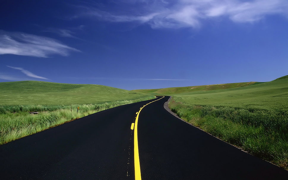 black and yellow leather bag, landscape, road HD wallpaper