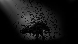 Batman digital wallpaper, Batman, bats, monochrome, superhero