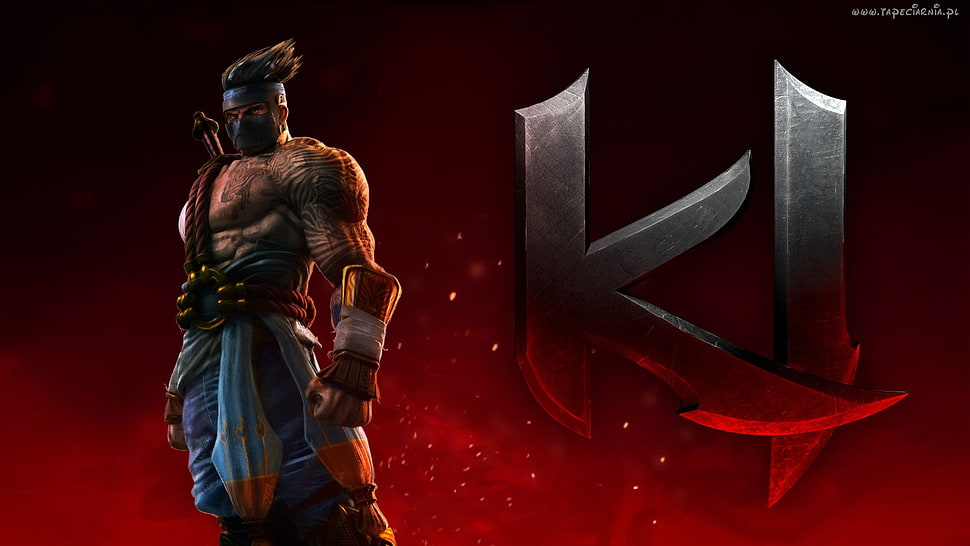 Killing Instinct character illustration, Killer Instinct , video games, warrior HD wallpaper