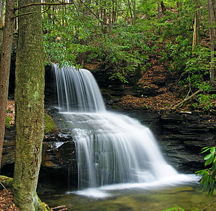 waterfalls surrounded with trees during daytime