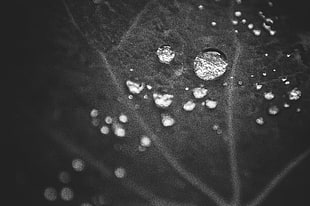 Espejos, Explored, untitled, droplet