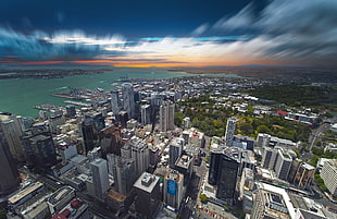 city buildings, cityscape, building, sea, Auckland HD wallpaper