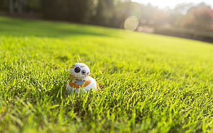 BB-8 toy on green grass HD wallpaper