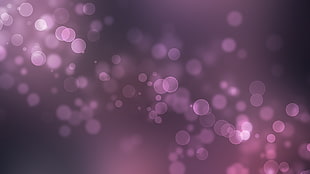 Highlights,  Circles,  Lilac,  Light