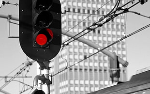 selective color photo of traffic light