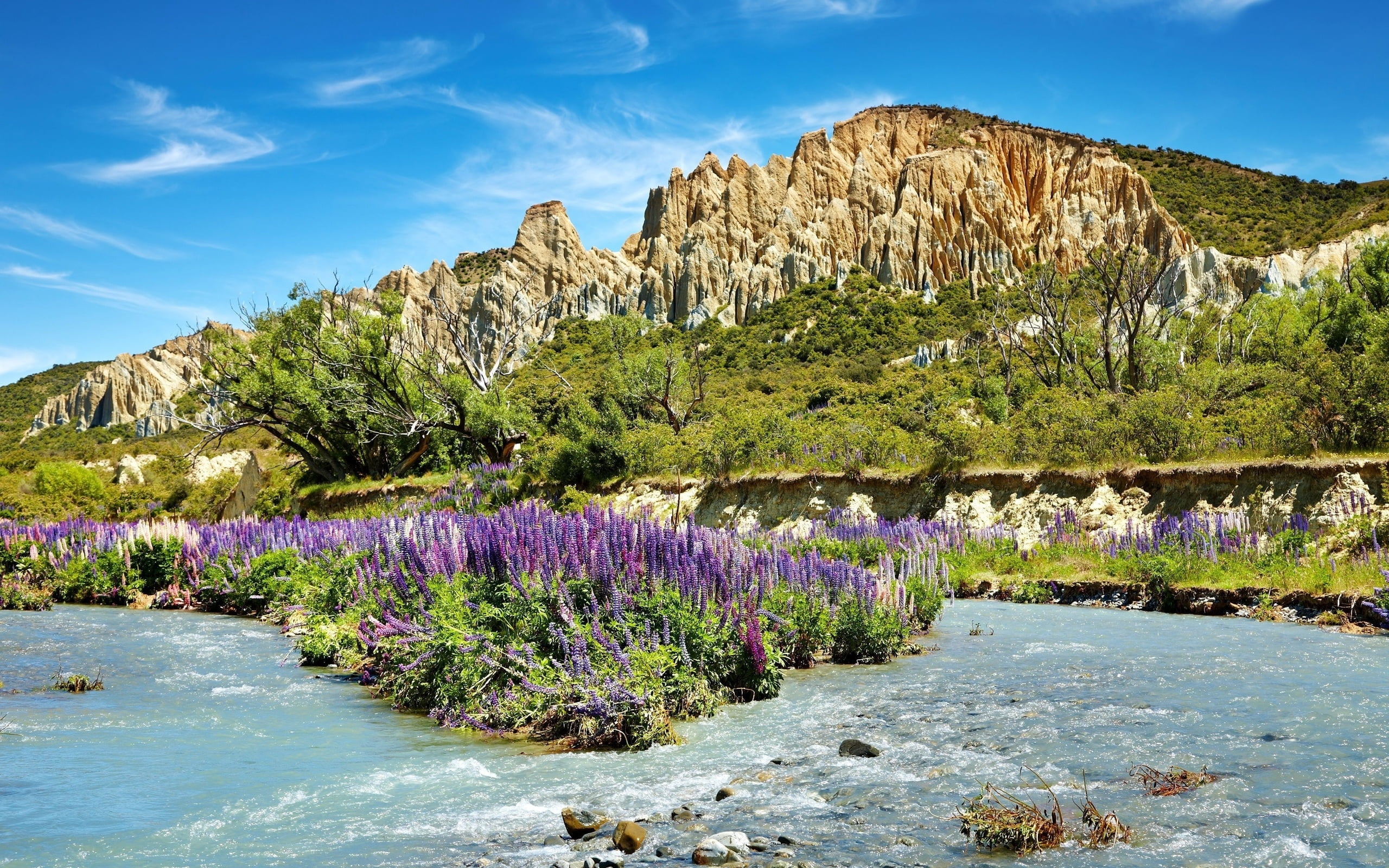 high-saturated landscape photography of purple petaled flowers on body of water and brown mountains under blue calm sky