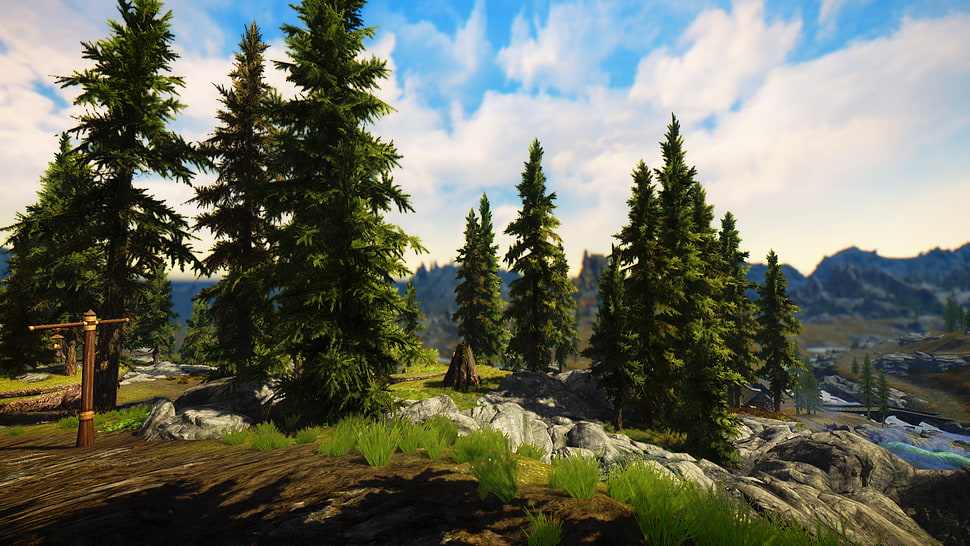 white and green trees painting, The Elder Scrolls V: Skyrim, video games, Bethesda Softworks, RPG HD wallpaper