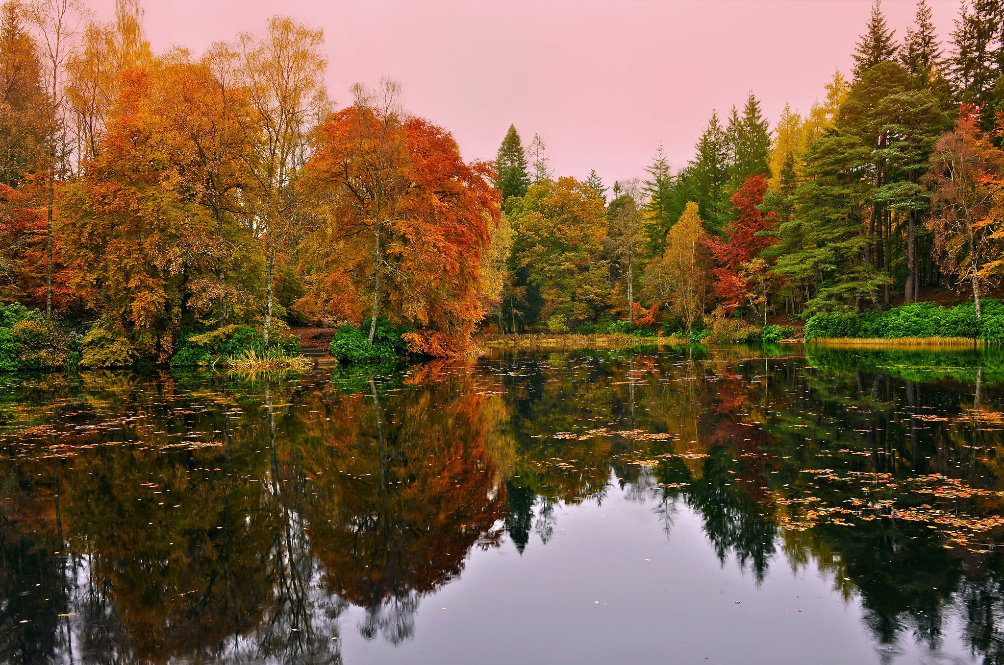 orange, yellow, and green leafed trees across body of water