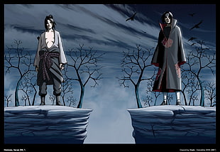 Sasuke and Itachi Uchiha digital wallpaper