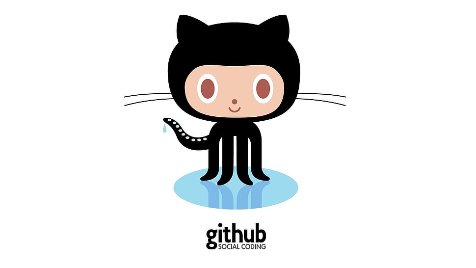 black cat illustration HD wallpaper