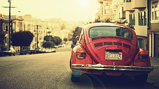 red Volkswagen Beetle Type 1 parked on gray concrete road