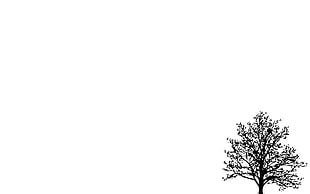 tree illustration with white background