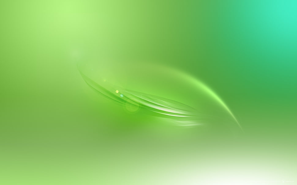 green leaf digital wallpaper HD wallpaper