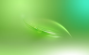 green leaf digital wallpaper HD wallpaper