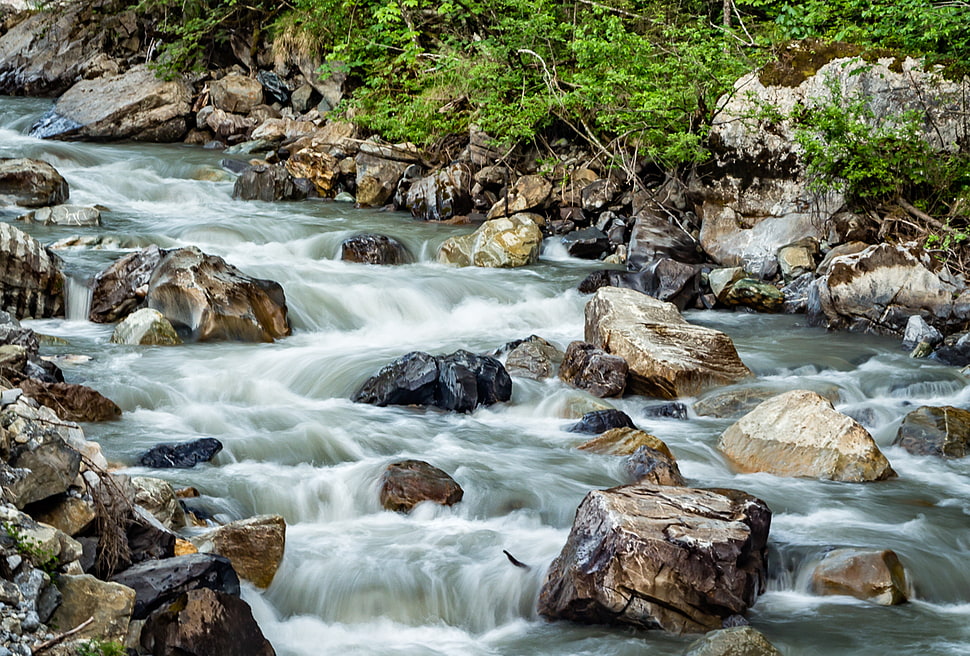 waterfalls near forest HD wallpaper