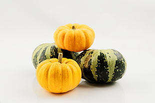 two squashes and watermelons