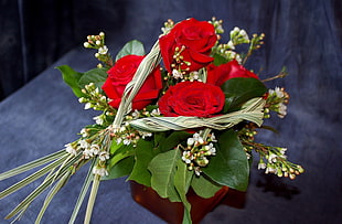 bouquet of four red roses HD wallpaper