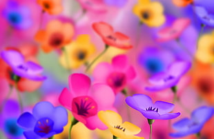 pink, yellow and purple flowers