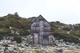 gray wooden shed near green grass field HD wallpaper