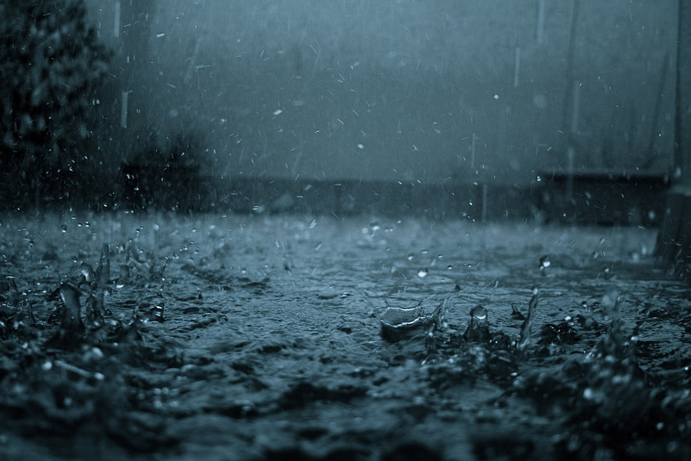 rain drops on large area HD wallpaper