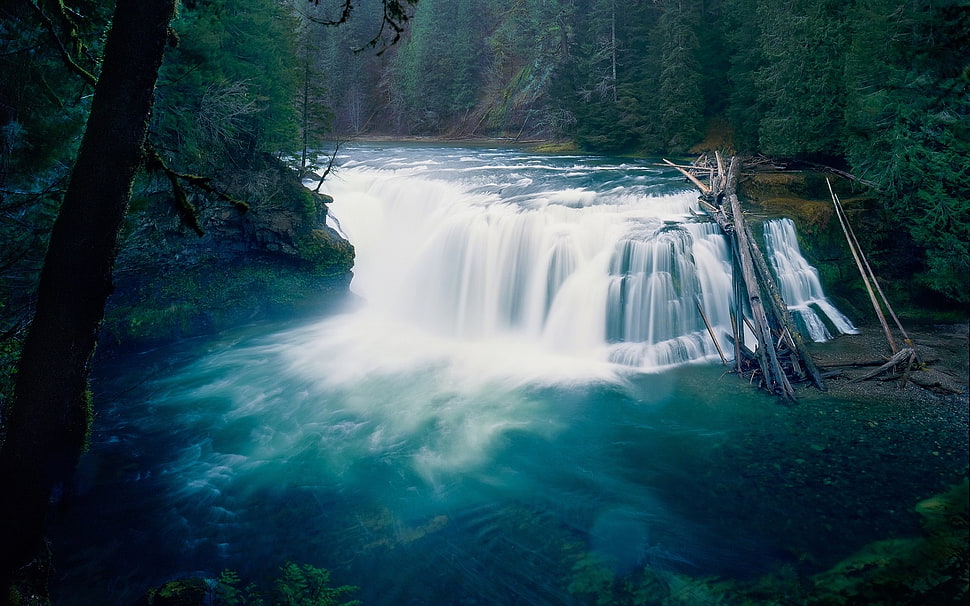 Waterfall,  Trees,  Nature,  River HD wallpaper