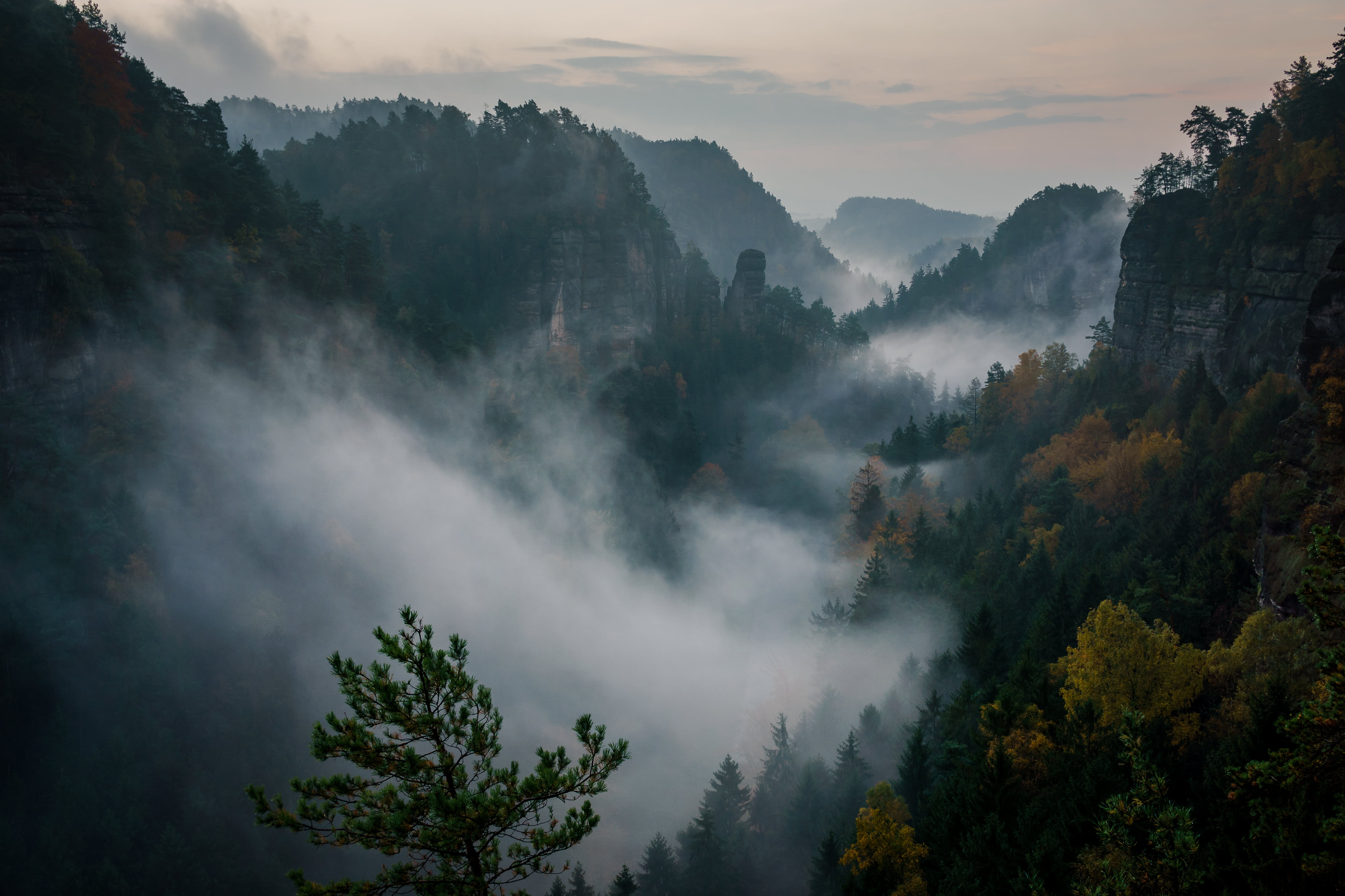 photography of fogs near mountain during daytime