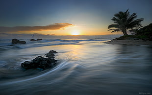 waves sea during sunset, cabarete HD wallpaper