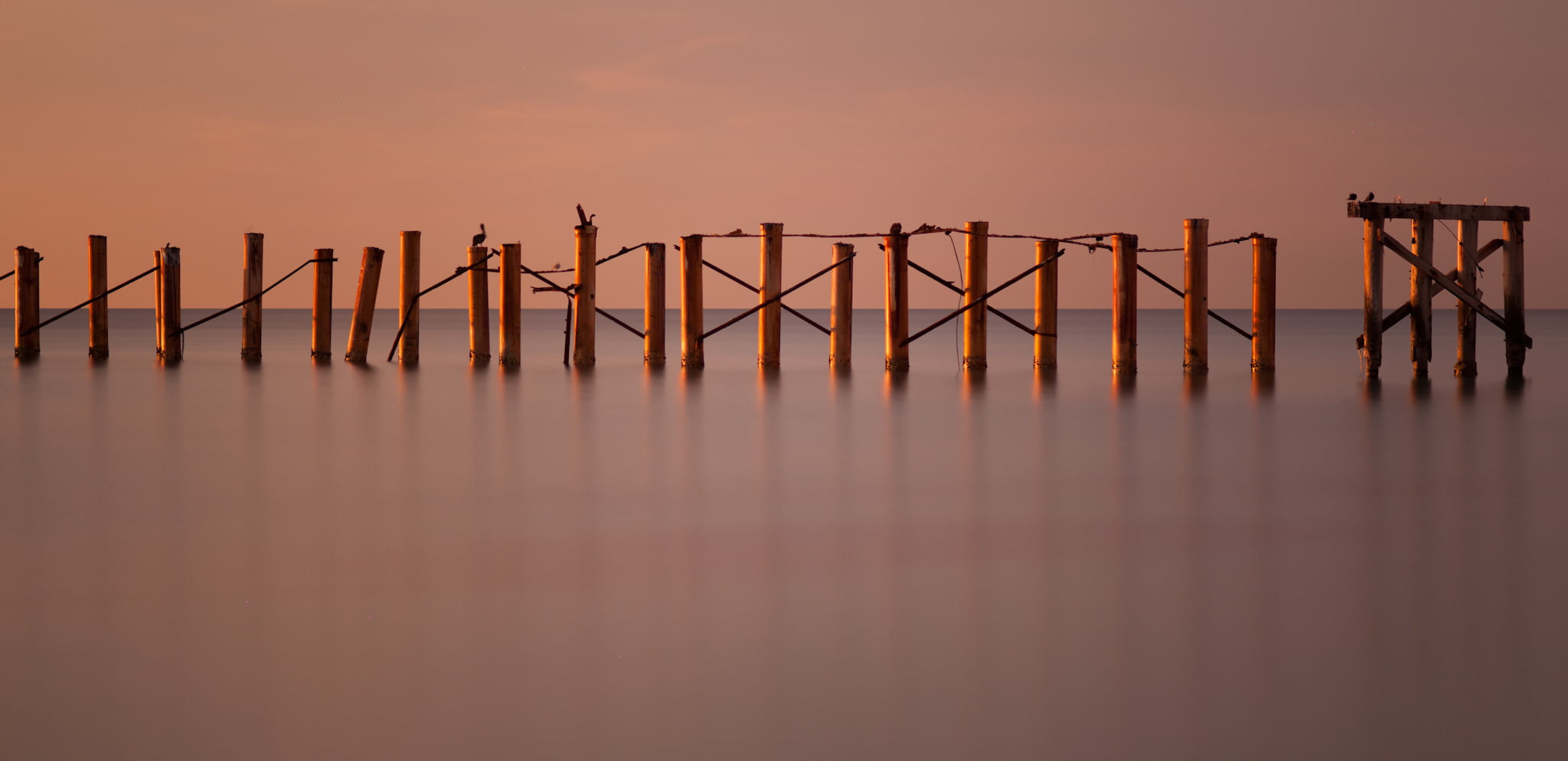posts on body of water, newport