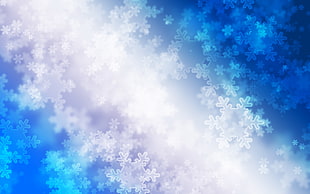 white and blue snowflake illustration