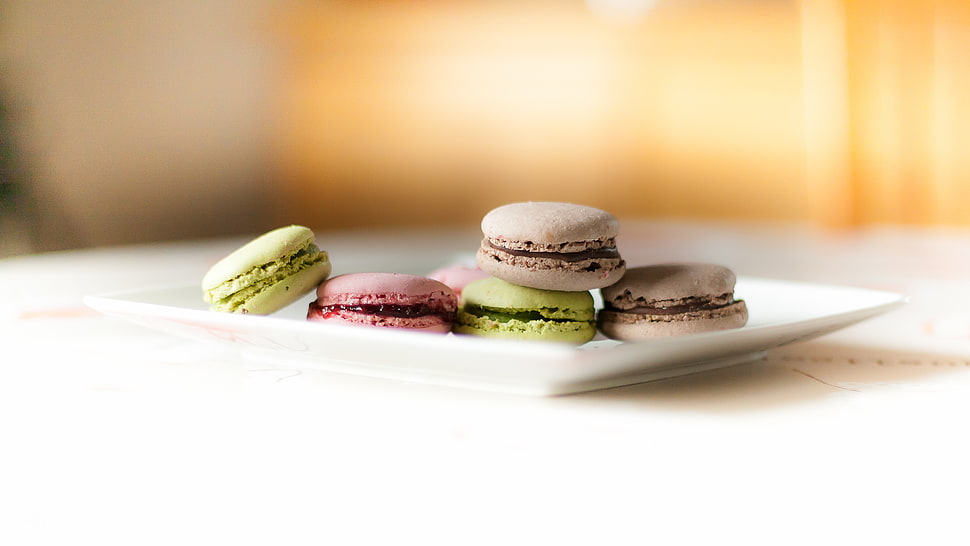 five macaroons on white ceramic saucer HD wallpaper