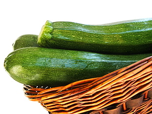 green cucumber vegetables