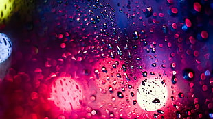 closeup photo of dew drops on glass board HD wallpaper