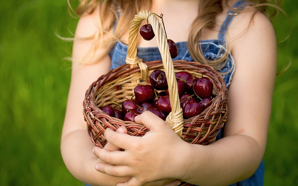 girl holding brown wicker basket filled with red fruits HD wallpaper