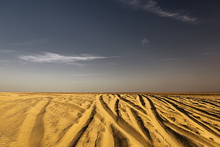 brown sand, landscape, Sahara, desert HD wallpaper