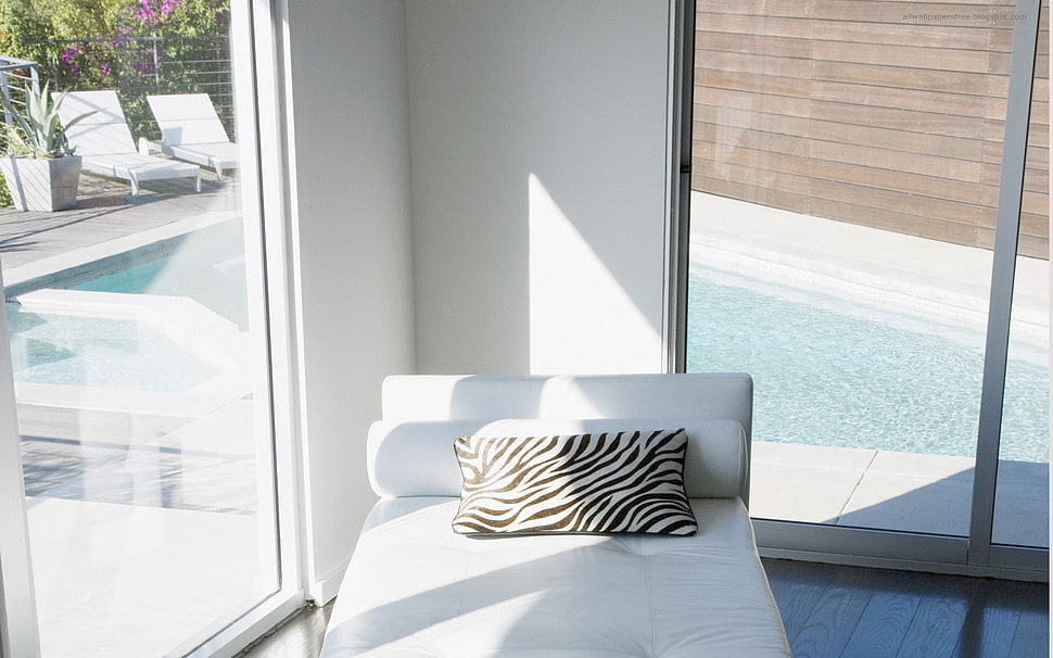 white and black zebra throw pillow HD wallpaper