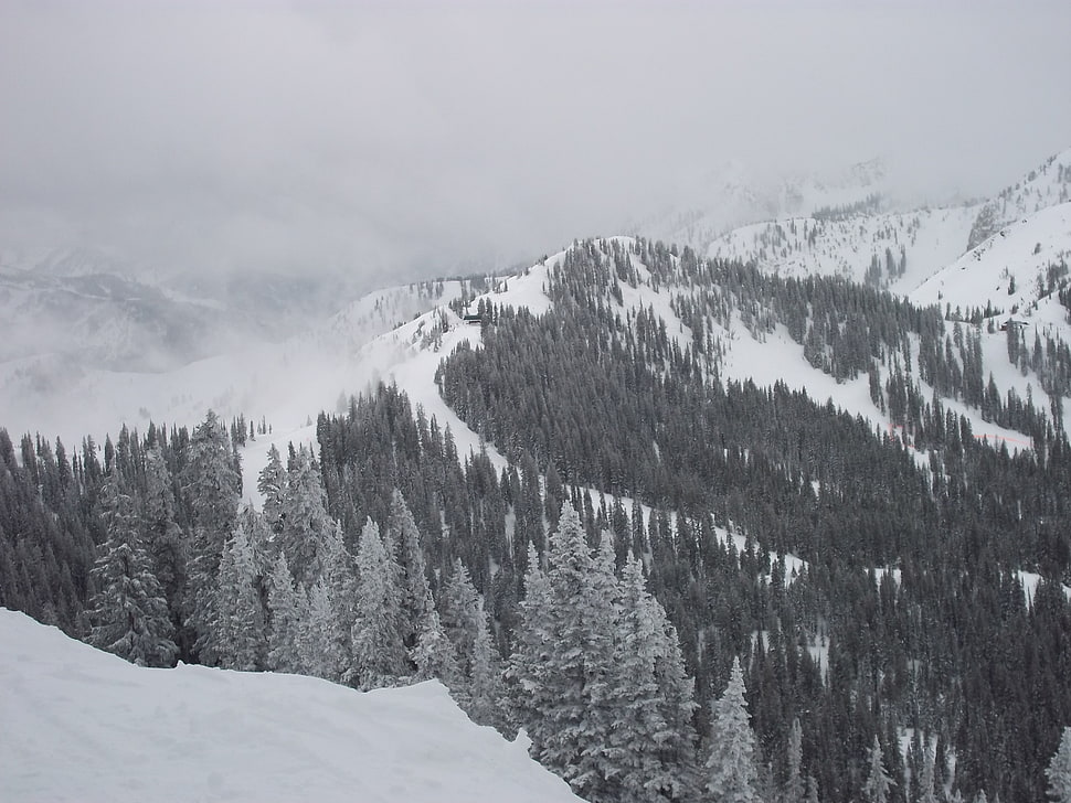 white snow on mountain, snow HD wallpaper