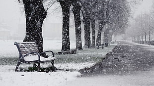 brown and black bench, winter, snow, bench, trees