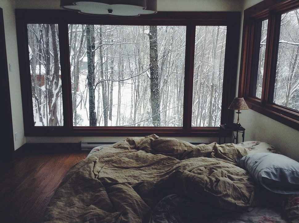 closed clear glass window HD wallpaper
