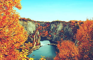 brown trees, nature, landscape, fall, lake HD wallpaper