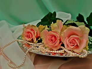 three pink Roses beside Pearl necklace