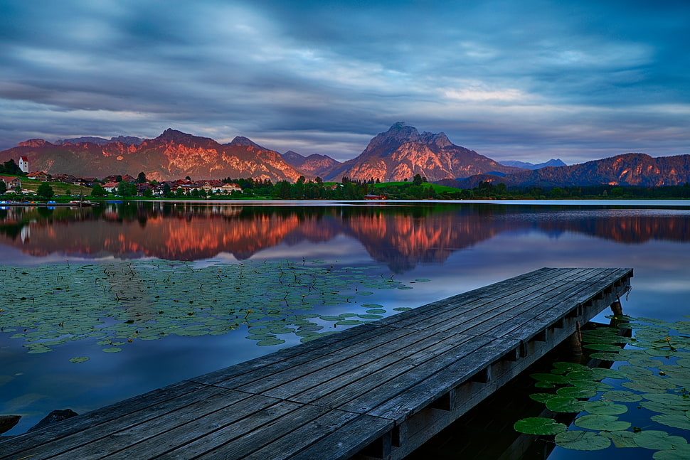 brown and gray wooden dock HD wallpaper